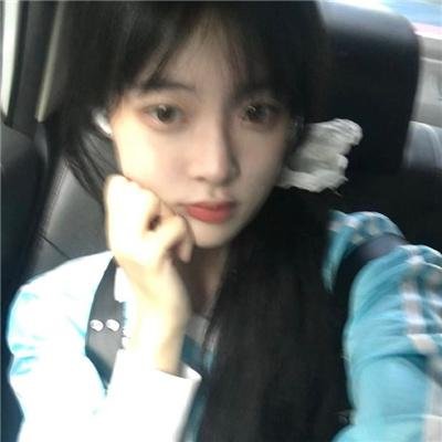 蜂蜜与四叶草第二季